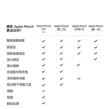 Apple/苹果 Pencil(USB-C) 磁吸触控笔手写笔苹果笔电容笔ipad笔 适用iPad 11/mini/Pro/Air