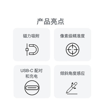 Apple/苹果 Pencil(USB-C) 磁吸触控笔手写笔苹果笔电容笔ipad笔 适用iPad 11/mini/Pro/Air